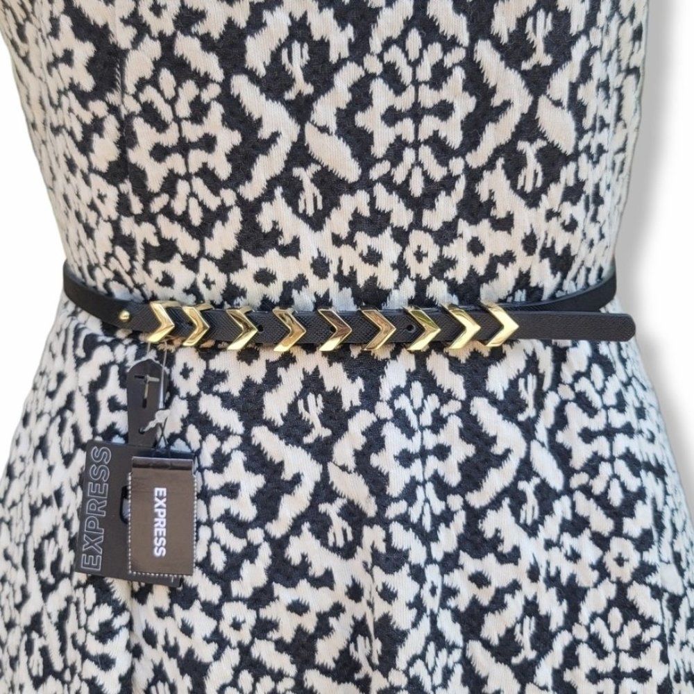 Black and Gold Belt